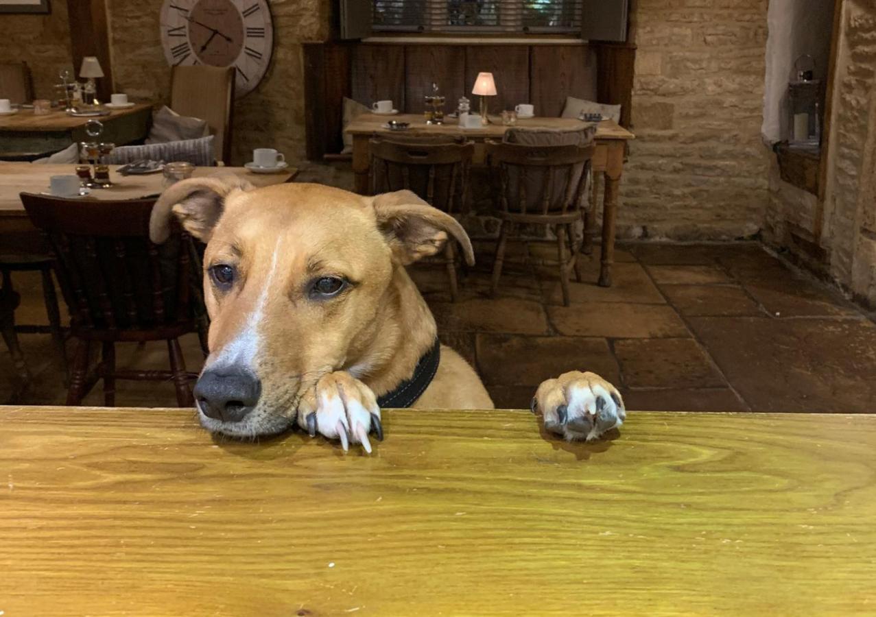 The Horse & Groom Stow-on-the-Wold Екстериор снимка